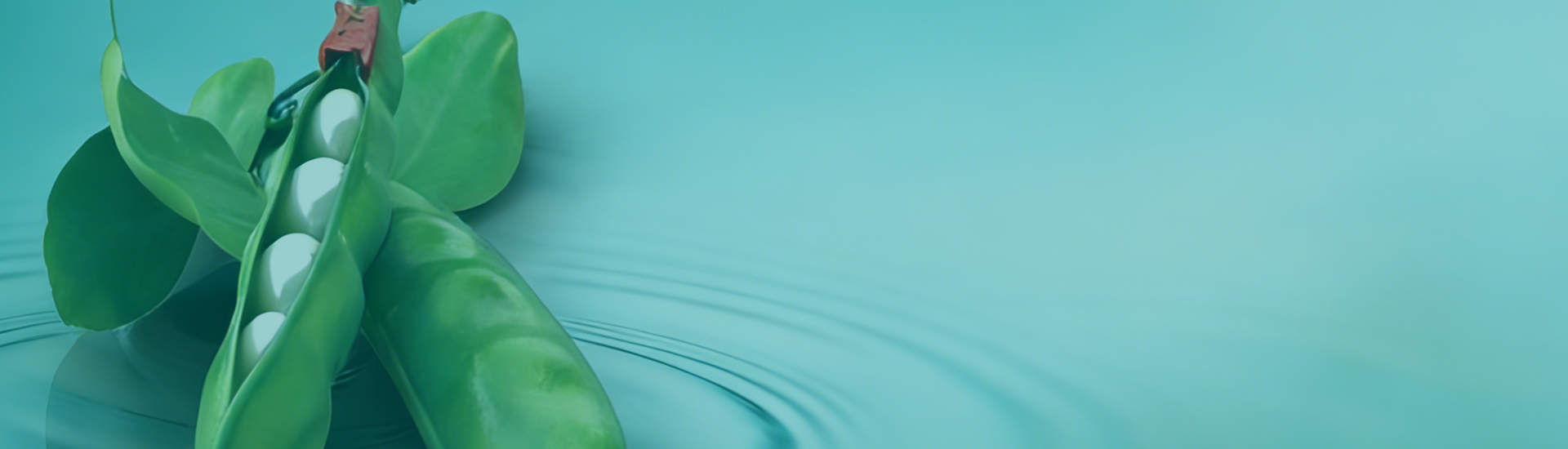 zipper bag manufacturing solution