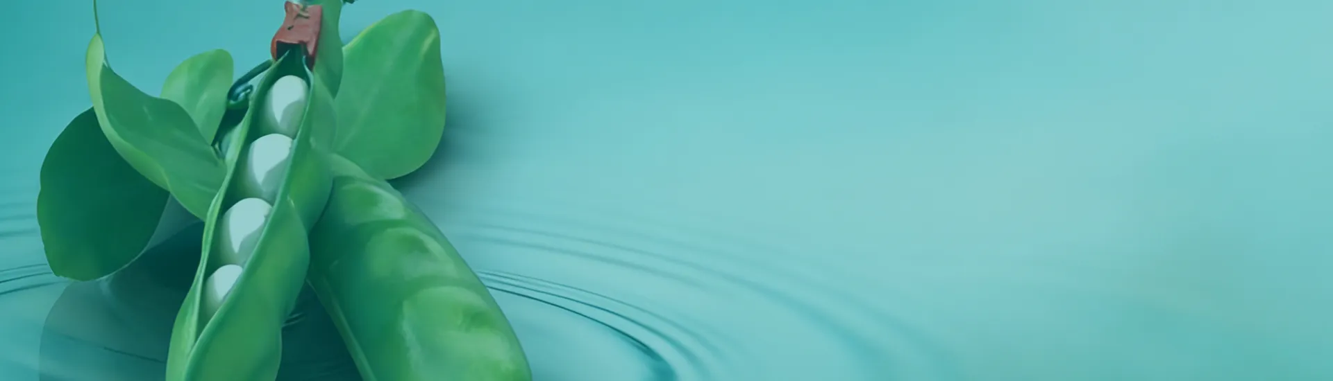 zipper bag manufacturing solution